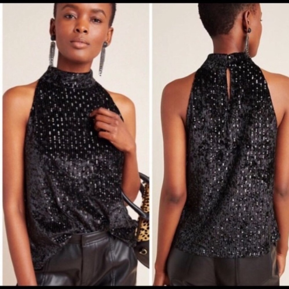 Anthropologie Taryn velvet and sequin top